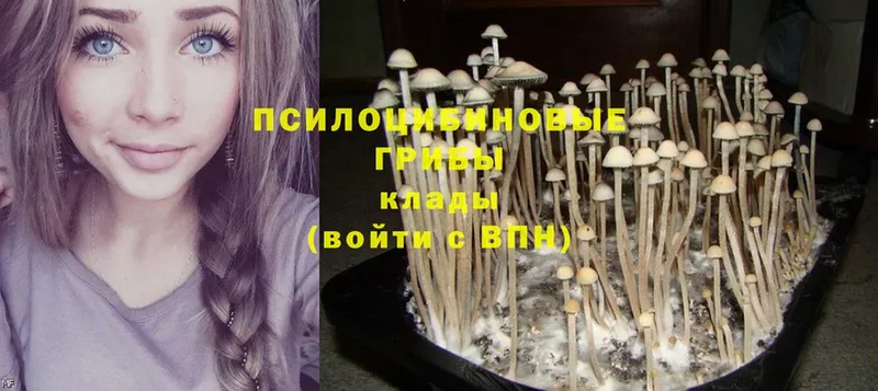 купить  сайты  Барнаул  Галлюциногенные грибы MAGIC MUSHROOMS 